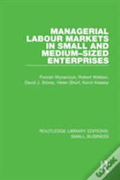 Managerial Labour Markets In Small And Medium-Sized Enterprises