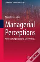 Managerial Perceptions