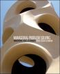 Managerial Problem Solving: Frameworks, Tools, Techniques - Preview