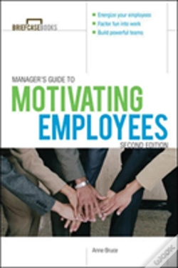 Capa do artigo Manager'S Guide To Motivating Employees 2/E