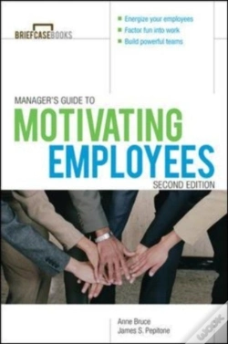 Capa do artigo Manager'S Guide To Motivating Employees 2/E