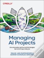 Managing Ai Projects