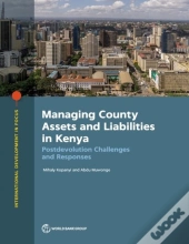 Managing County Assets And Liabilities In Kenya