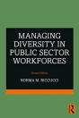 Managing Diversity In Public Sector Workforces - Preview