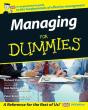 Managing For Dummies, Uk Edition - Preview