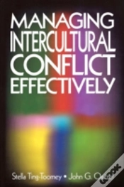 Capa do artigo Managing Intercultural Conflict Effectively
