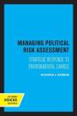 Managing Political Risk Assessment - Preview