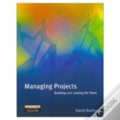 Capa do artigo MANAGING PROJECTS