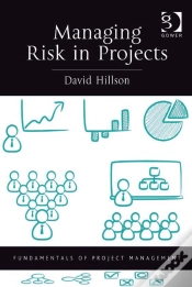 Capa do artigo Managing Risk In Projects