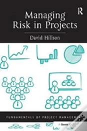 Capa do artigo Managing Risk In Projects