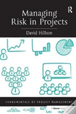 Capa do artigo Managing Risk In Projects