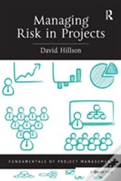 Capa do artigo Managing Risk In Projects