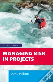 Capa do artigo Managing Risk In Projects