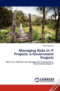 Capa do artigo Managing Risks In It Projects