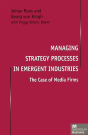 Managing Strategy Processes In Emergent Industries - Preview