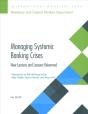Managing Systemic Banking Crises - Preview