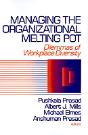 Managing The Organizational Melting Pot - Preview
