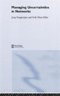Managing Uncertainties In Networks - Preview