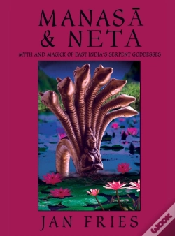 Capa do artigo Manasa And Neta