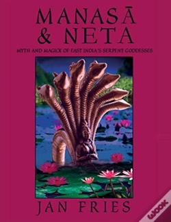 Capa do artigo Manasa And Neta