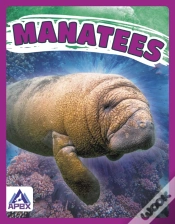 Capa do artigo Manatees