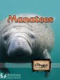 Manatees - Preview