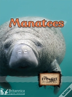 Capa do artigo Manatees