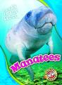 Manatees - Preview