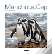 Manchots Du Cap