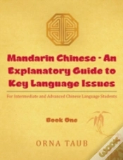 Capa do artigo Mandarin Chinese - An Explanatory Guide To Key Language Issues