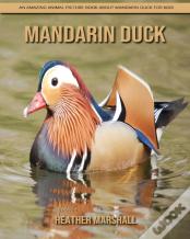 Mandarin Duck