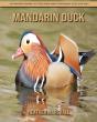 Mandarin Duck - Preview