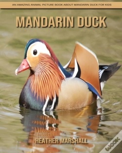 Capa do artigo Mandarin Duck