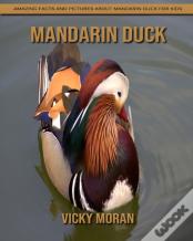 Mandarin Duck