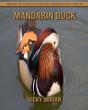 Mandarin Duck - Preview