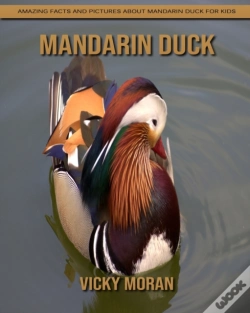 Capa do artigo Mandarin Duck