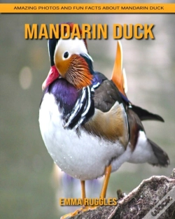 Capa do artigo Mandarin Duck