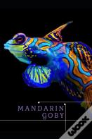 Mandarin Goby