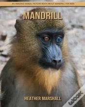 Capa do artigo Mandrill