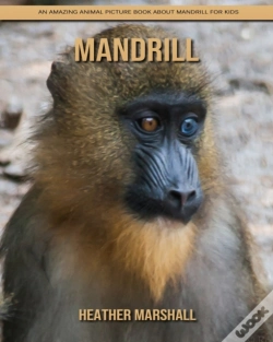 Capa do artigo Mandrill