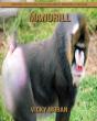 Mandrill - Preview