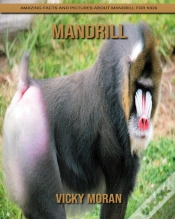 Capa do artigo Mandrill