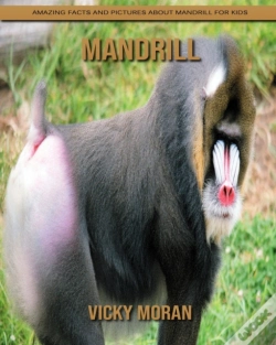 Capa do artigo Mandrill