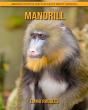 Mandrill - Preview