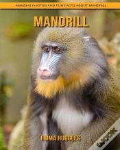 Capa do artigo Mandrill