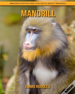Capa do artigo Mandrill