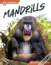 Capa do artigo Mandrills