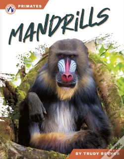 Capa do artigo Mandrills