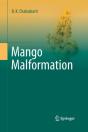 Mango Malformation - Preview