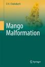 Mango Malformation - Preview